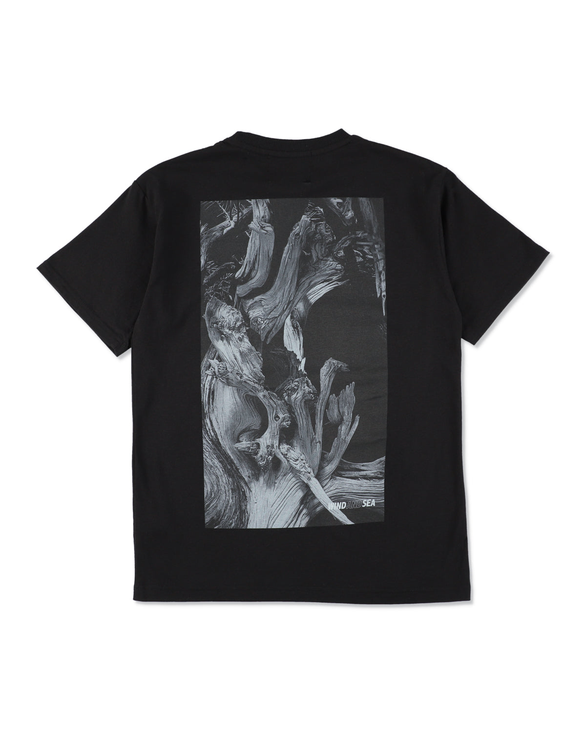 JIN SHARI TEE