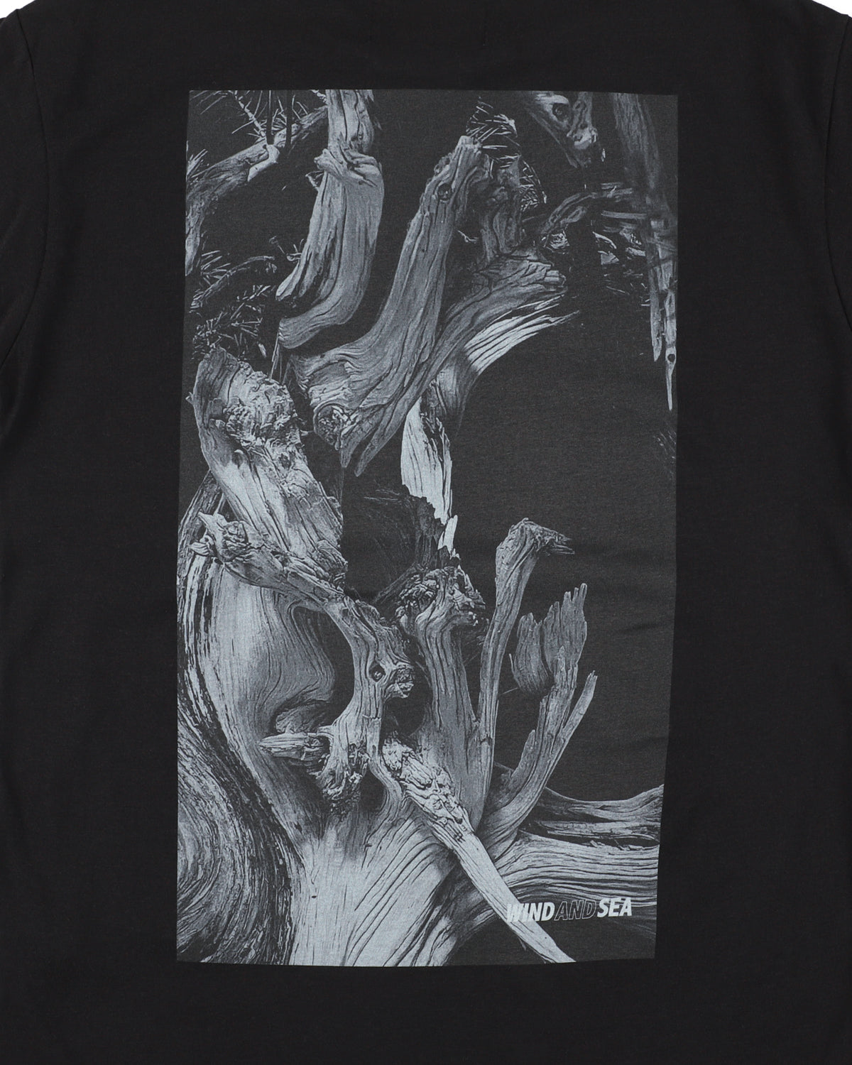 JIN SHARI TEE