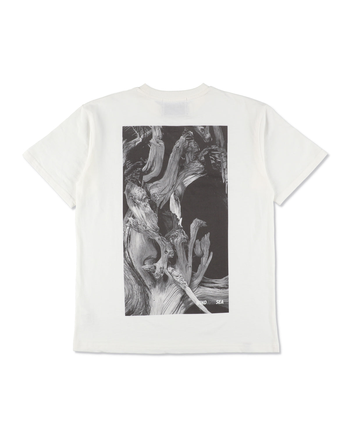 JIN SHARI TEE