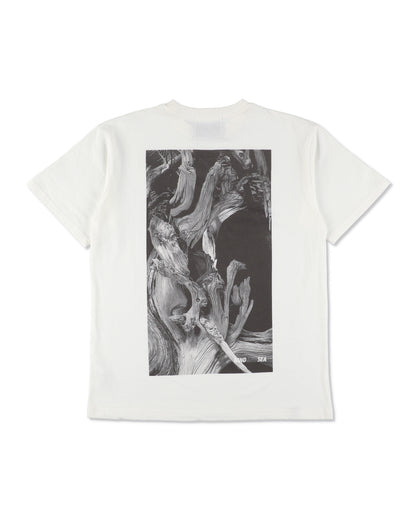 JIN SHARI TEE
