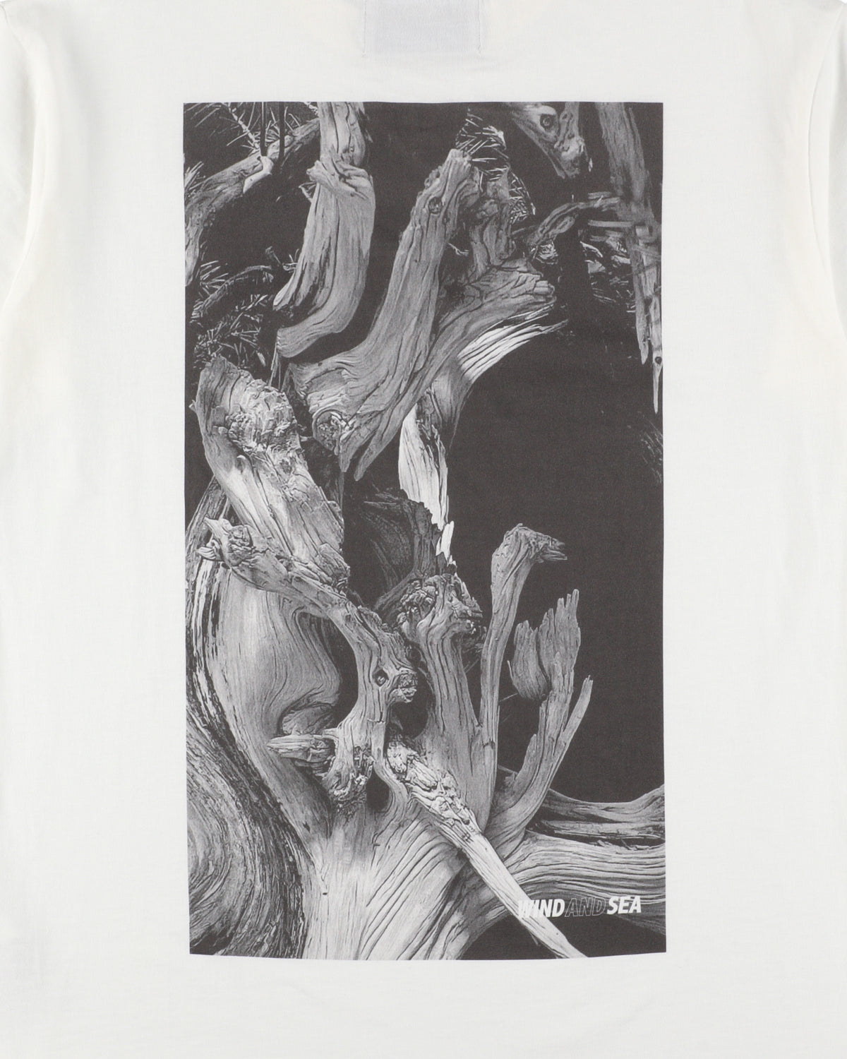 JIN SHARI TEE