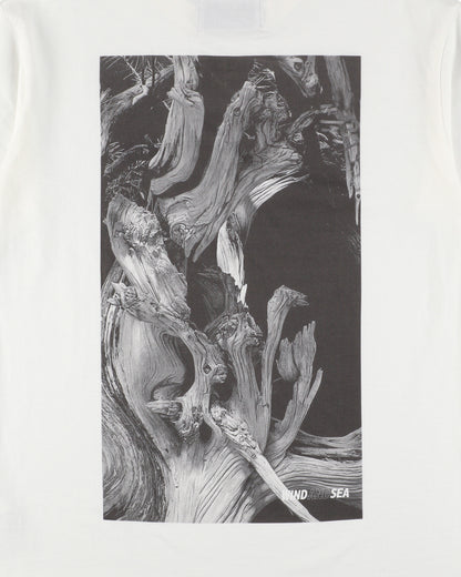 JIN SHARI TEE